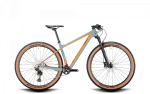Mountainbike Conway RLC 4.9 HE 29 Zoll 2022, grey matt/orange